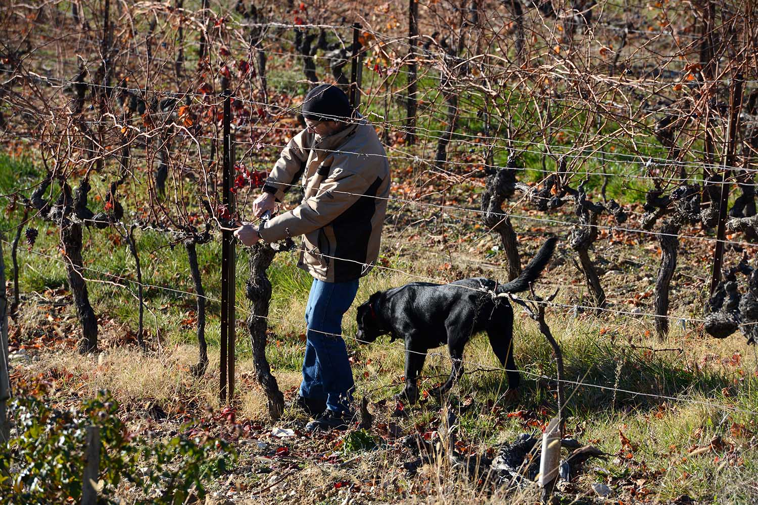 Domaine de la Verrière vin de Provence Luberon AOP Ventoux