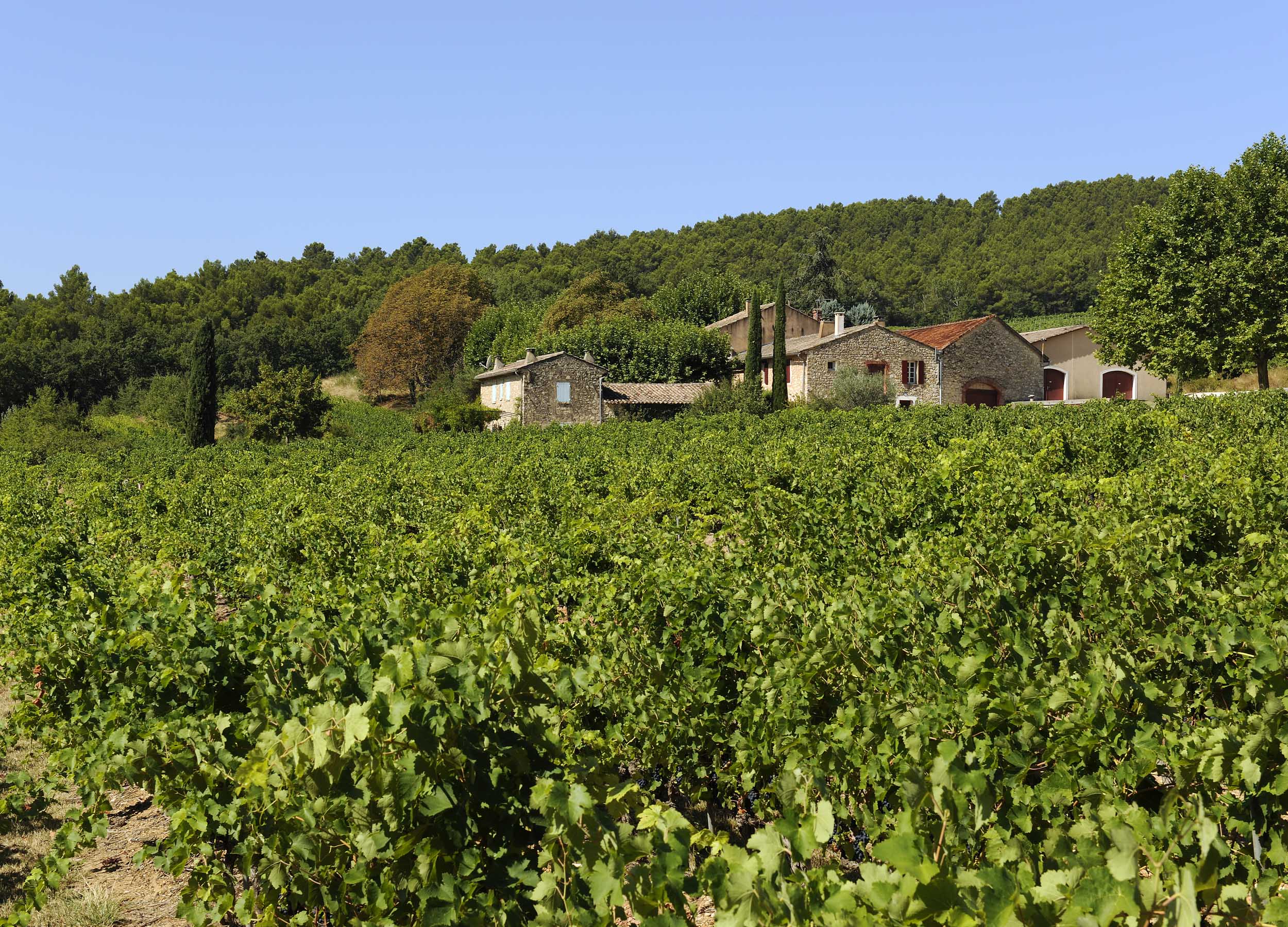 Domaine de la Verrière vin de Provence Luberon AOP Ventoux