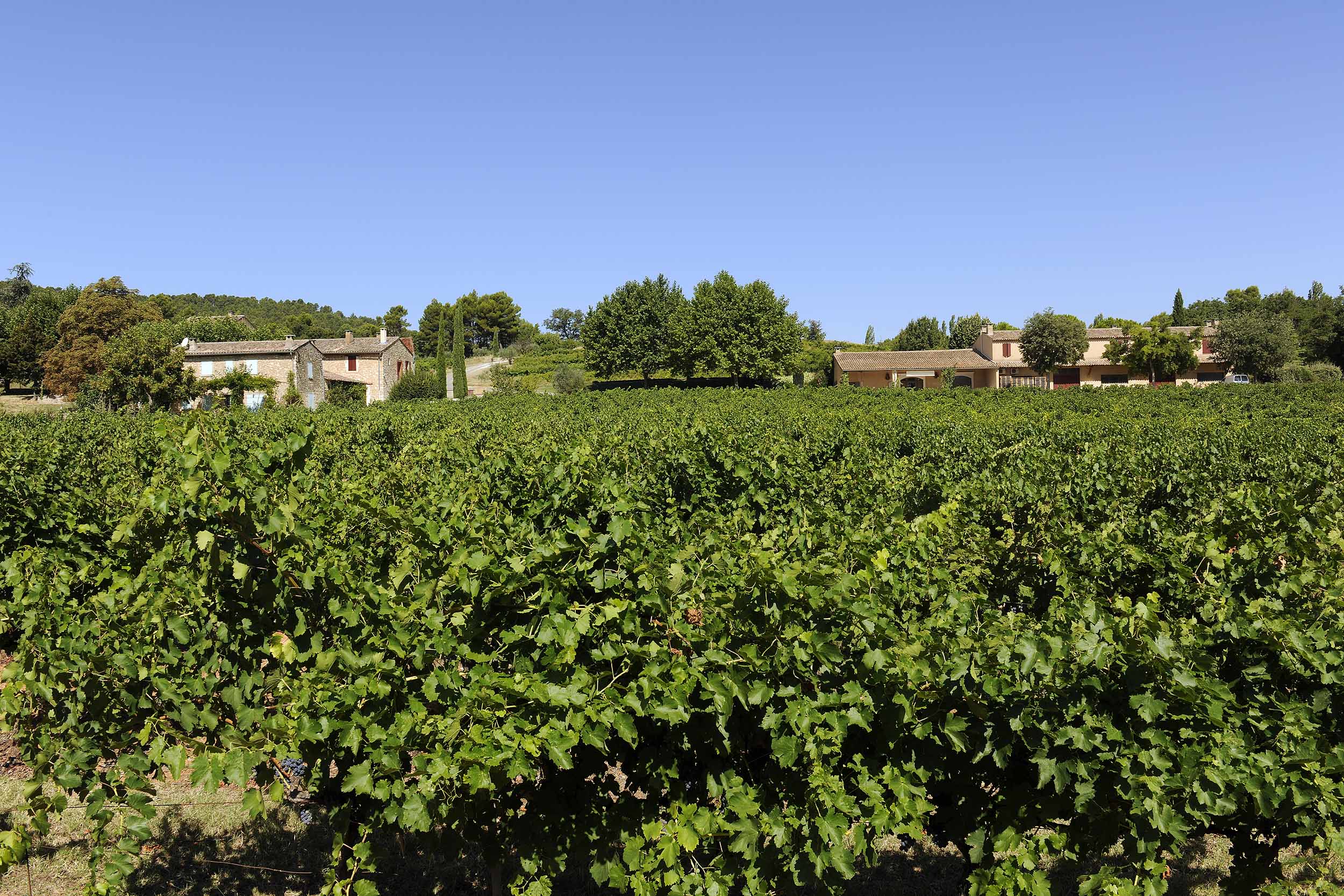 Domaine de la Verrière Luberon vin de Provence AOP Ventoux